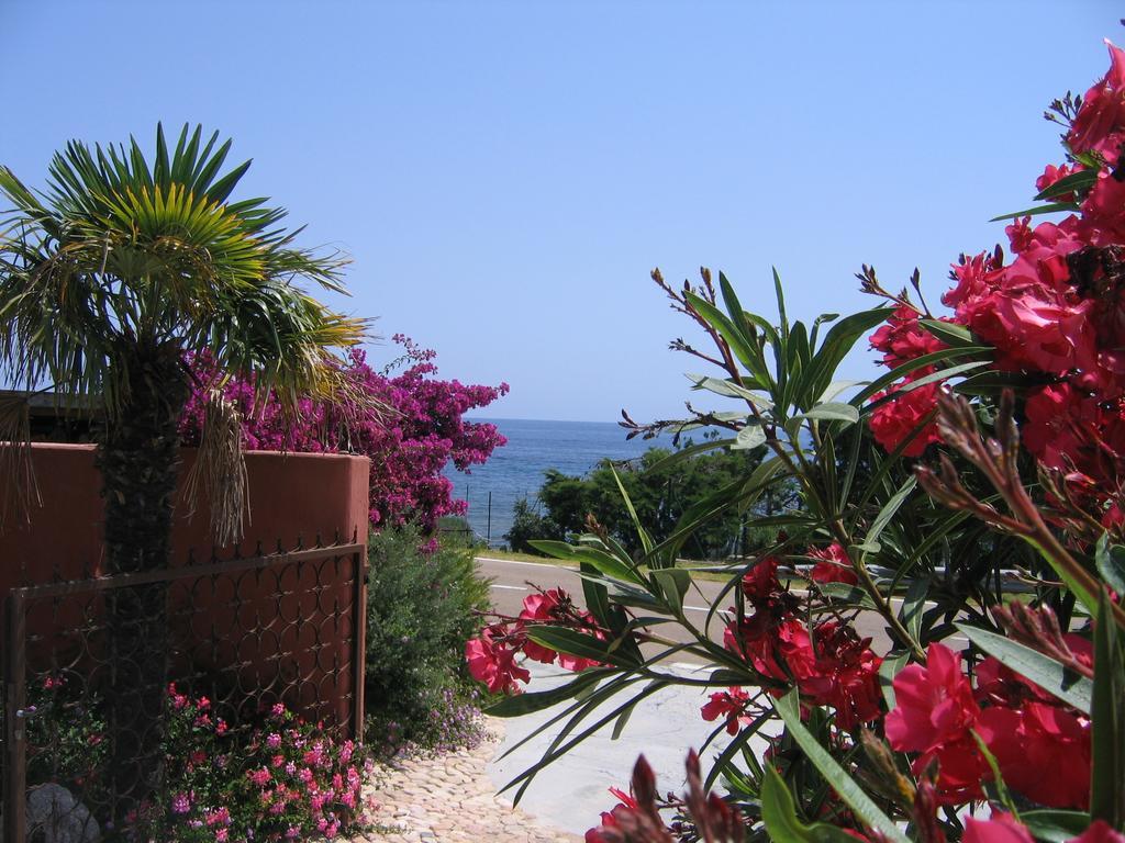 Tarcu Les Bungalows De Figha מראה חיצוני תמונה